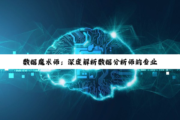 数据魔术师：深度解析数据分析师的专业素养与使命担当