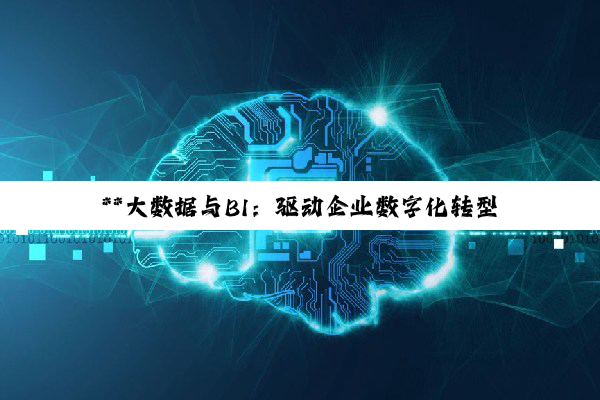 【科普解答】**大数据与BI：驱动企业数字化转型的智慧双翼**