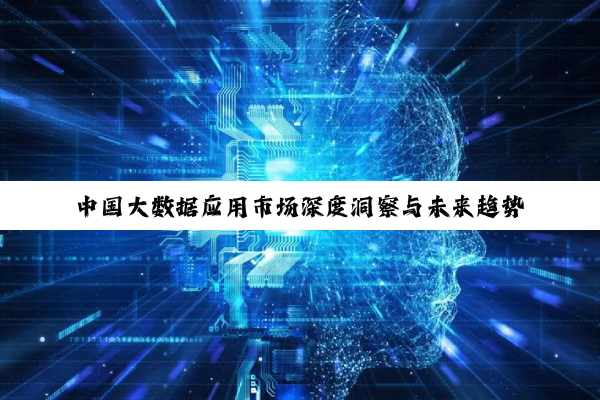 【今日要闻】中国大数据应用市场深度洞察与未来趋势：2025-2025年数字化转型与技术创新前...