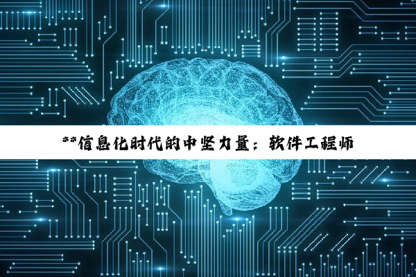 【科普解答】**信息化时代的中坚力量：软件工程师与大数据工程师的深度探索与发展展望**
