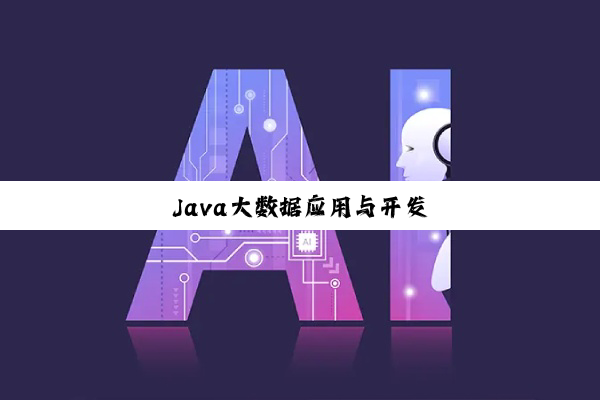 今日科普|Java大数据应用与开发