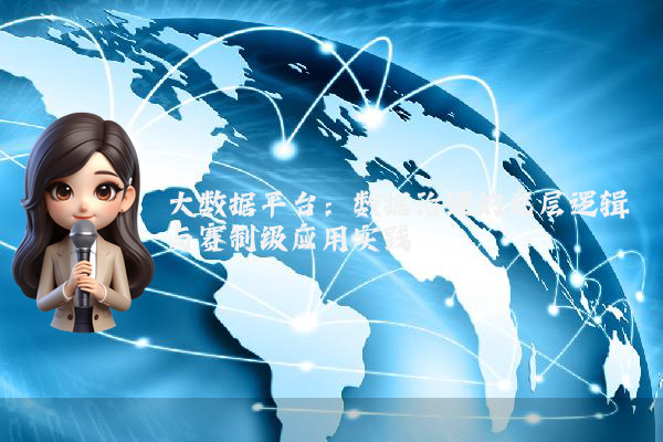 大数据平台:数据治理的底层逻辑与赛制级应用实践