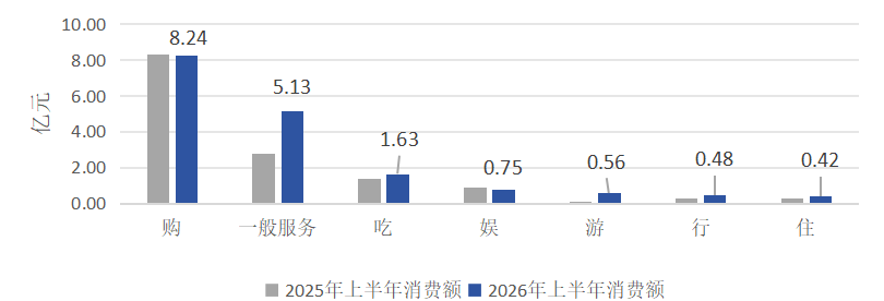2025、2026年上半年银发市场七大类消费情况