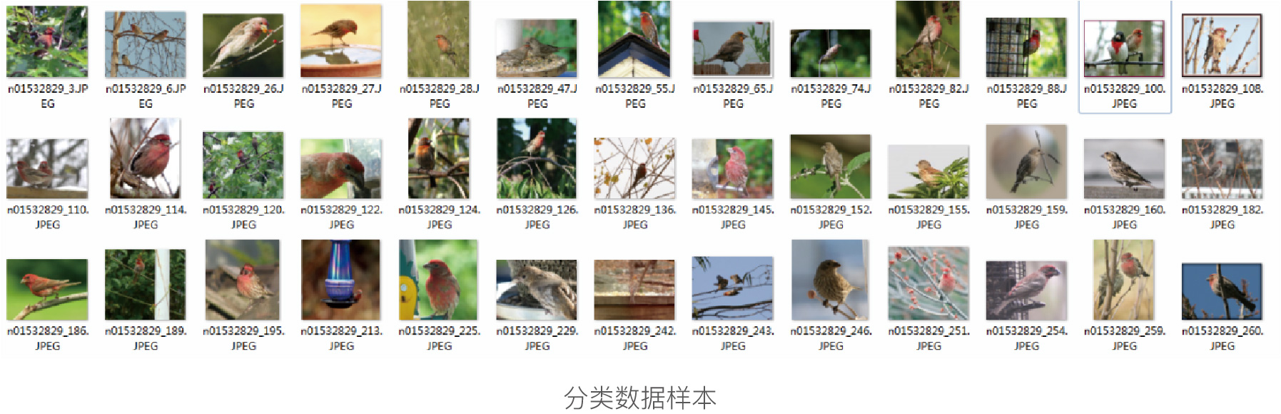 开云大数据科技股份有限公司