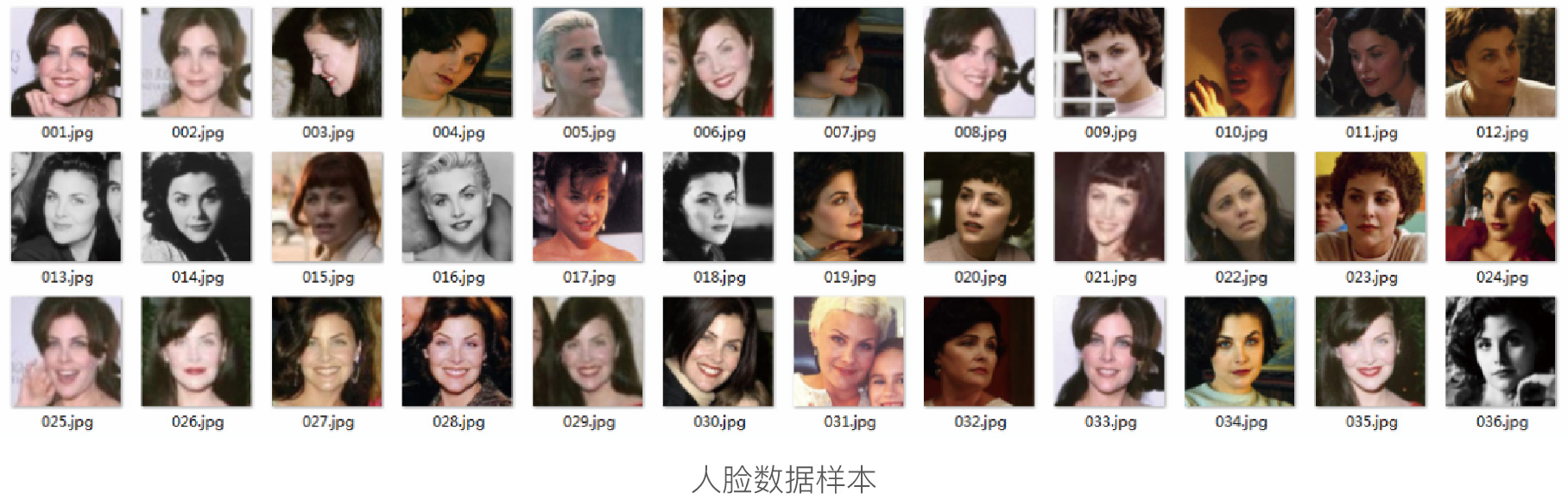 开云大数据科技股份有限公司
